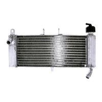 refrigerador motor aprilia rs4 125 agua