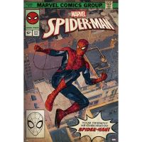 erik maxi poster editores marvel spider-man portada comic 915x61cm
