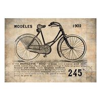 papel pintado 3d - old school bicycle 350x245 cm