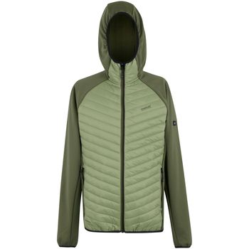 Regatta Abrigo de plumas Andreson para hombre