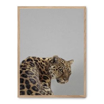 Cuadro Leopard