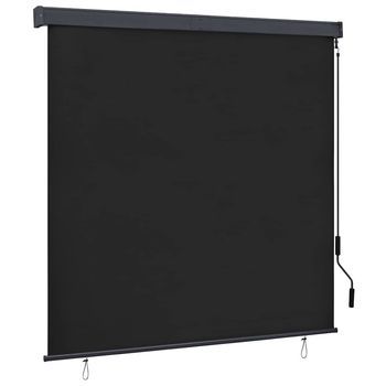 Estor Enrollable De Exterior Gris Antracita 160x250 Cm Vidaxl