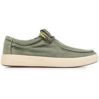 natural world zapatos ingles bordado tintado para hombre