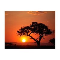 papel pintado 3d - africa puesta del sol 250x193 cm
