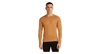 Camiseta interior hombre icebreaker merino 260 tech marron