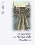 un paseante en nueva york