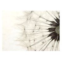 papel pintado 3d - white dandelion 150x105 cm