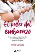 el poder del embarazo preparate para disfrutar de tu gestion y tener