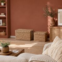conjunto de 2 cajas de jacinto de agua natural 52x34x33 cm