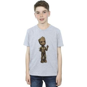 Marvel Tops y Camisetas I Am Groot para niño